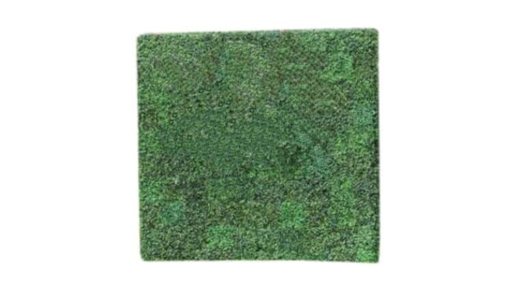 Boxwood Backdrop – 8′ x 8′ | Rental Boxwood Backdrop – 8′ x 8′ | Rental
