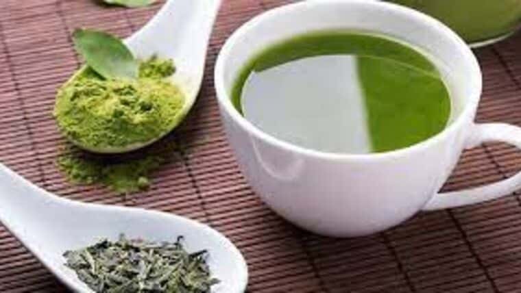 Green Tea | Purchase | Rental