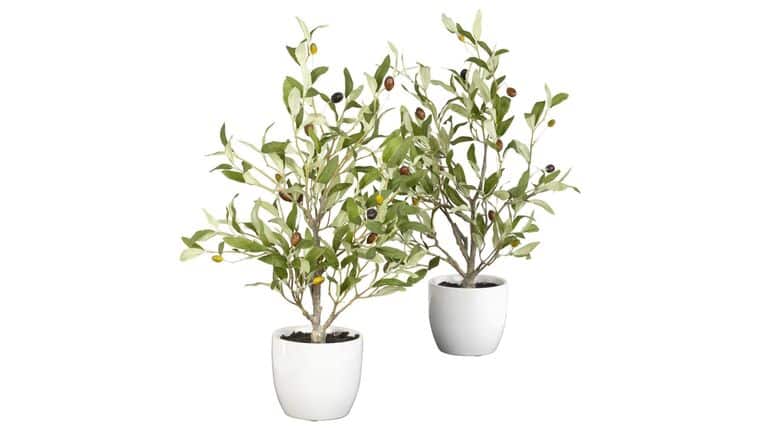 18″ Olive Silk Tree w/Vase | Rental 18″ Olive Silk Tree w/Vase | Rental