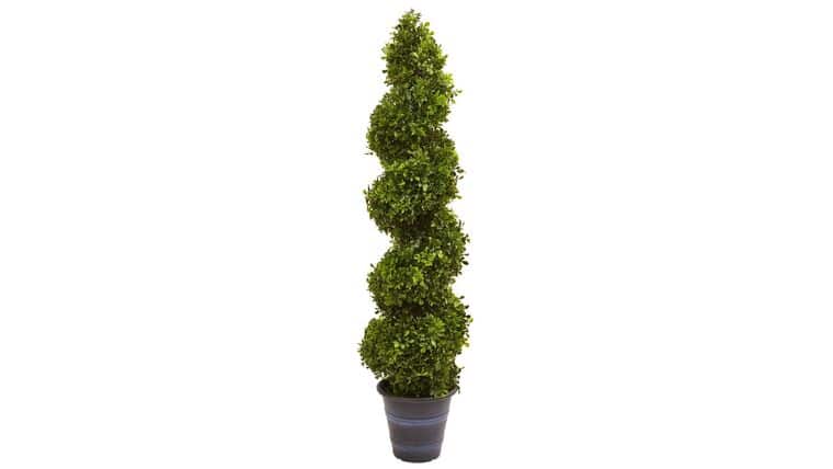 Boxwood Spiral Topiary with Planter (Indoor/Outdoor) | Rental Boxwood Spiral Topiary with Planter (Indoor/Outdoor) | Rental