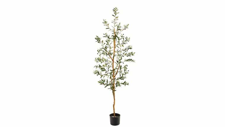5.5’ Olive Artificial Tree | Rental