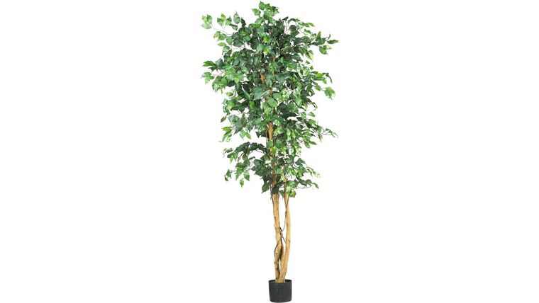 7′ Ficus Tree – Artificial | Rental