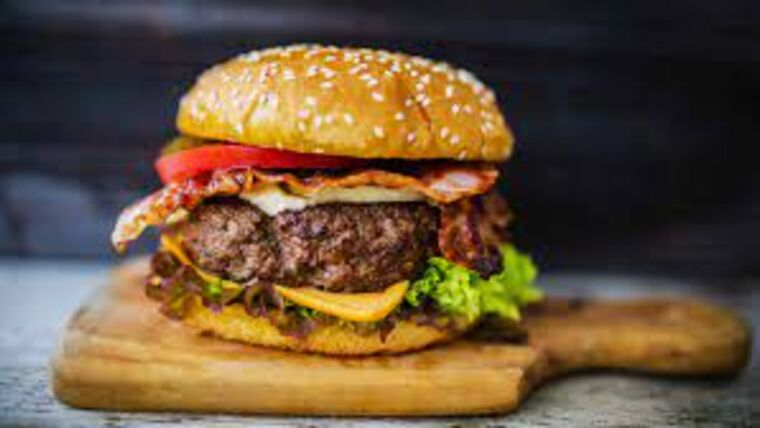 Hamburger | Purchase | Rental Hamburger | Purchase | Rental