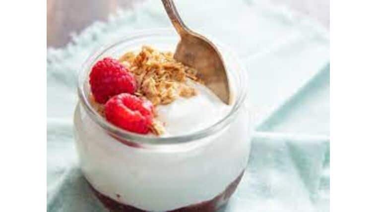 Yogurt (6oz.) | Purchase | Rental