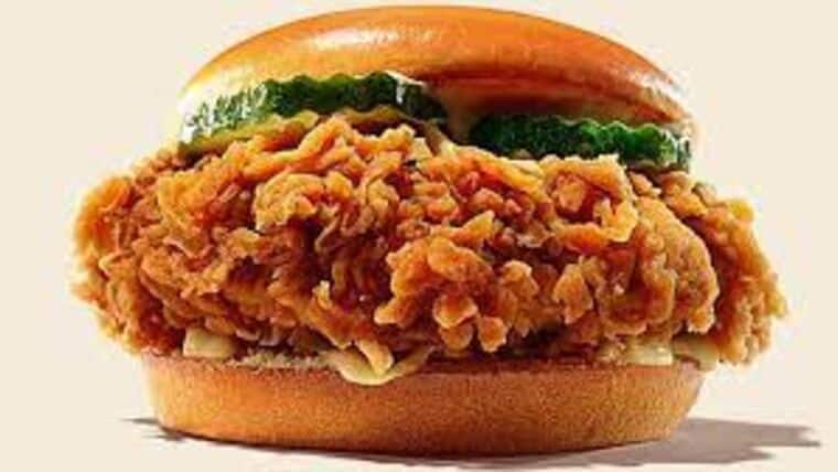 Breaded Chicken Sandwich | Purchase | Rental Breaded Chicken Sandwich | Purchase | Rental