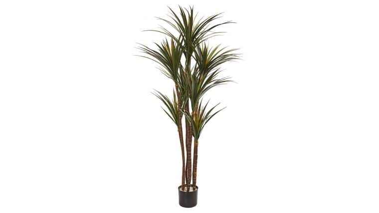 5.5’ Giant Yucca Artificial Tree UV Resistant | Rental