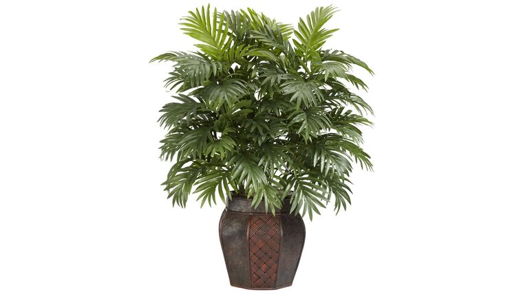 Areca Palm w/Vase Silk Plant | Rental Areca Palm w/Vase Silk Plant | Rental