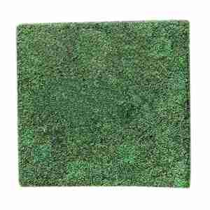 Boxwood Backdrop | Rental Boxwood Backdrop | Rental