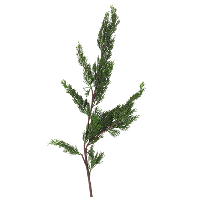 BR108 Cedar Branch | Rental BR108 Cedar Branch | Rental