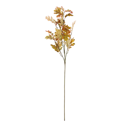 BR495 Oak Branch | Rental BR495 Oak Branch | Rental