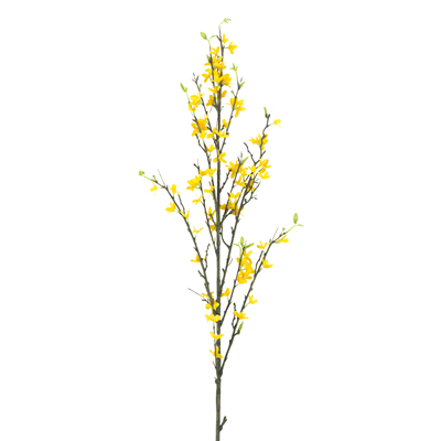 BR601 Forsythia Branch | Rental BR601 Forsythia Branch | Rental