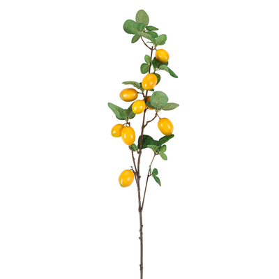 BR901 Lemon Branch | Rental BR901 Lemon Branch | Rental