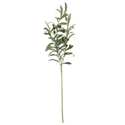 BR902 Olive Branch | Rental