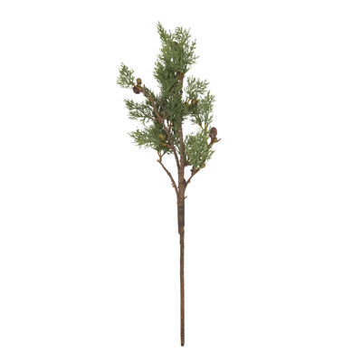 BR930 Pine And Fruit Branch | Rental BR930 Pine And Fruit Branch | Rental