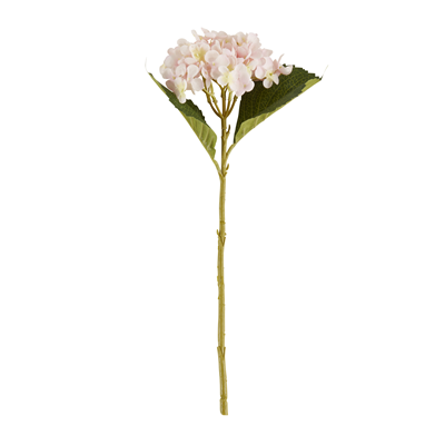 FL120 Hydrangea Stem | Rental FL120 Hydrangea Stem | Rental