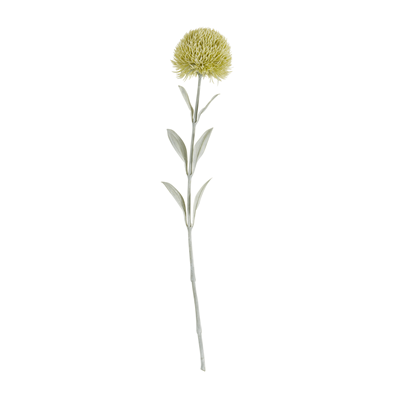 FL152 Carnation Stem | Rental FL152 Carnation Stem | Rental