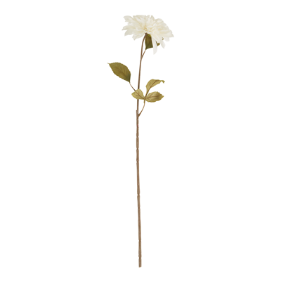 FL168 Dahlia Stem | Rental FL168 Dahlia Stem | Rental