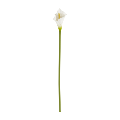 FL314 Calla Lily Stem | Rental FL314 Calla Lily Stem | Rental