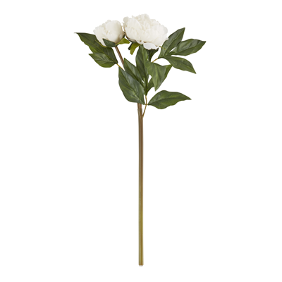 FL351 Peony Spray | Rental FL351 Peony Spray | Rental