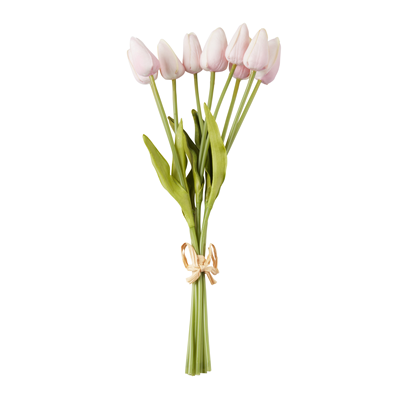 FL414 Petite Tulip 9-Piece Bunch | Rental FL414 Petite Tulip 9-Piece Bunch | Rental