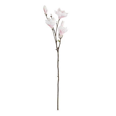 FL560 Magnolia Stem | Rental