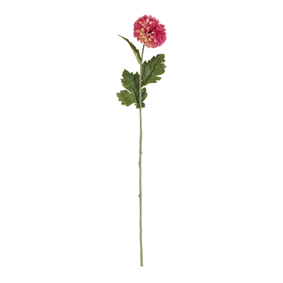 FL840 Dahlia Stem | Rental