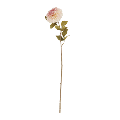 FL841 Dahlia Stem | Rental