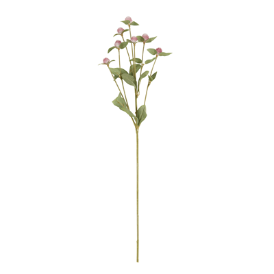 FL911 Gomphrena Spray | Rental