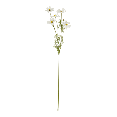 FL915 Galsang Spray | Rental