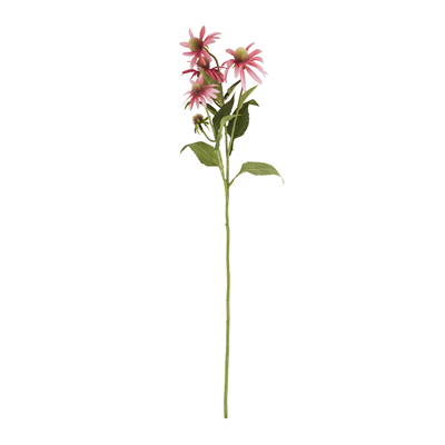 FL916 Coneflower Stem | Rental