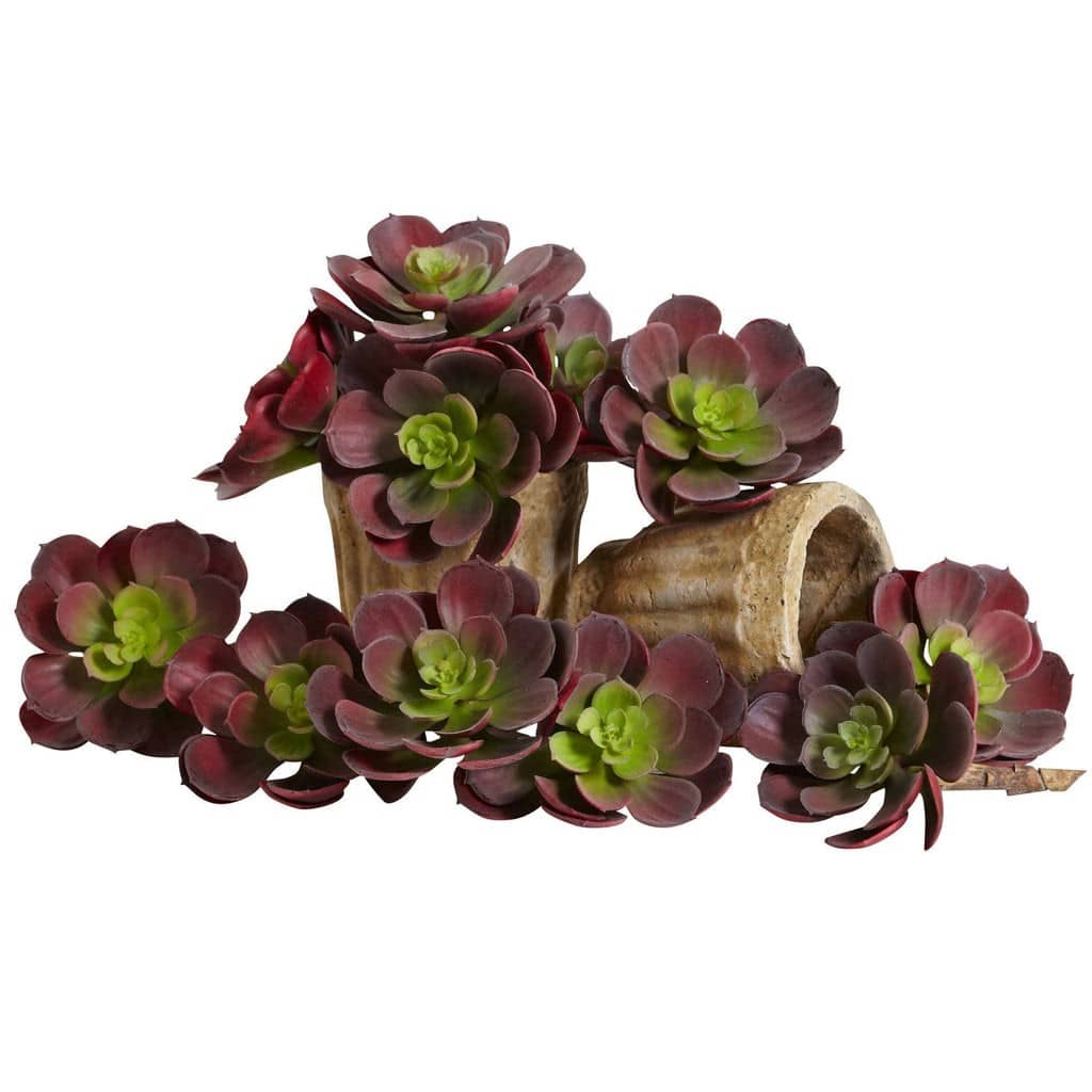6” Artificial Echeveria Succulent (Set of 12) | Rental 6” Artificial Echeveria Succulent (Set of 12) | Rental
