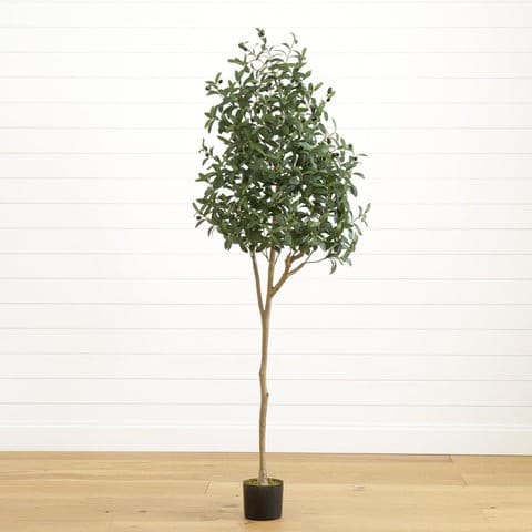 6’ Artificial Olive Tree | Rental
