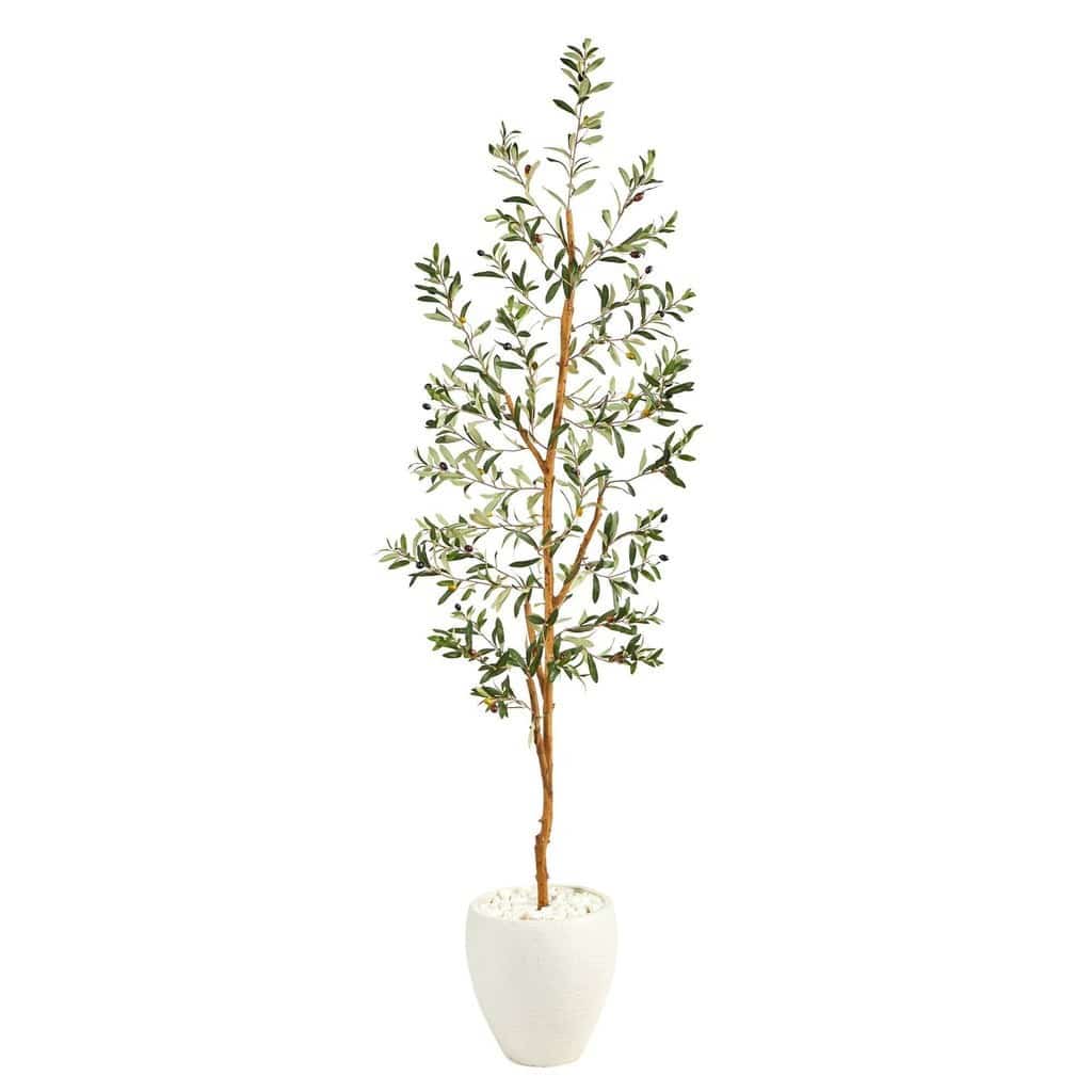 6’ Olive Artificial Tree in White Planter | Rental 6’ Olive Artificial Tree in White Planter | Rental