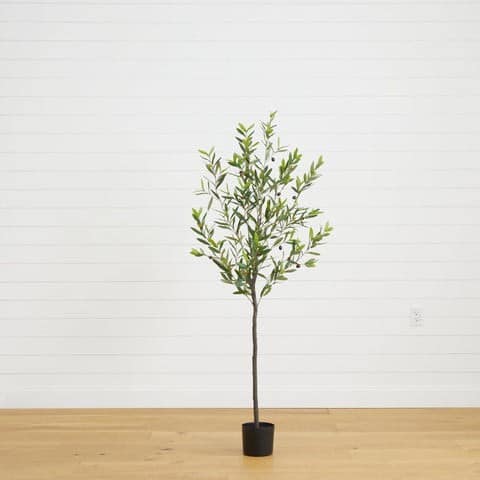 6’ Olive Artificial Tree | Rental
