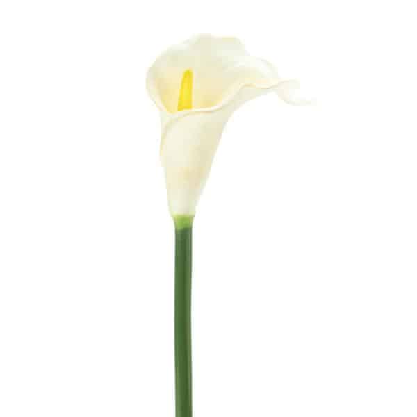 Decostar™ Artificial Calla 24″ – White | Rental Decostar™ Artificial Calla 24″ – White | Rental