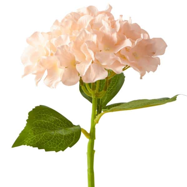 Decostar™ Artificial Hydrangea Stem – 14″ Blush | Rental