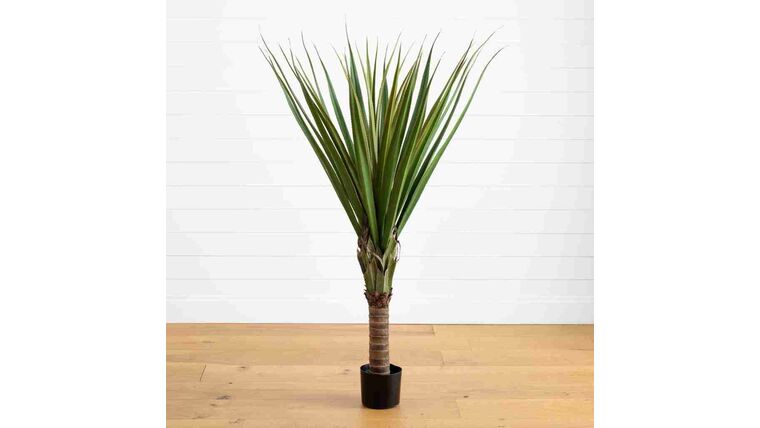 5′ Spiked Agave Tree | Rental 5′ Spiked Agave Tree | Rental
