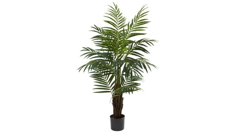 3’ Robellini Palm Artificial Tree | Rental