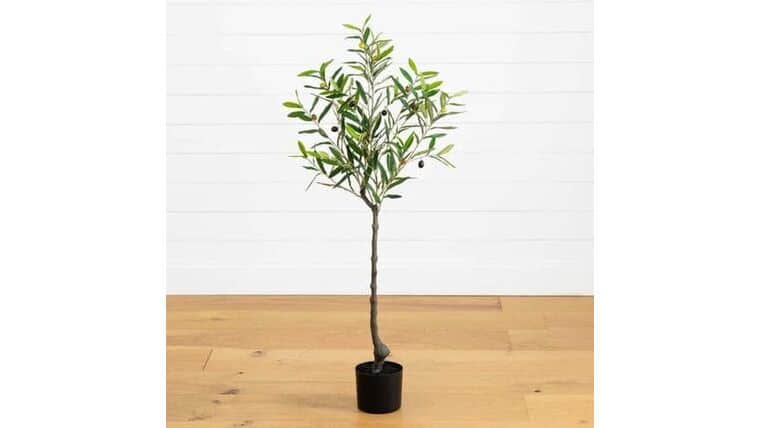 4’ Lighted Artificial Olive Tree with 240 Warm White LED Lights | Rental 4’ Lighted Artificial Olive Tree with 240 Warm White LED Lights | Rental