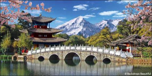 Asian Landscape 2 | Rental