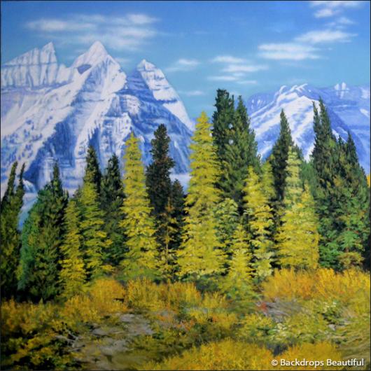 Aspen Mountains  1 | Rental