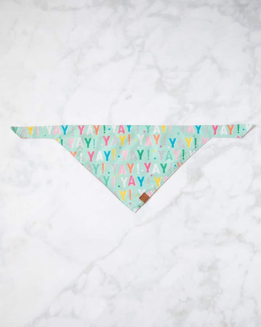 Foggy Dog – Birthday Yay Aqua Dog Bandana (Reversible) | Rental Foggy Dog – Birthday Yay Aqua Dog Bandana (Reversible) | Rental